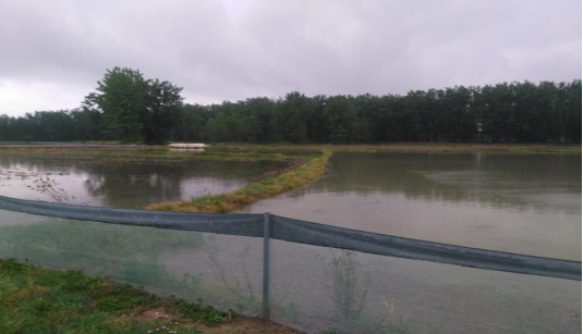 �l���l֪�� Ч��������---�����л��r������(y��ng)��һ���Ĉ��1496.png