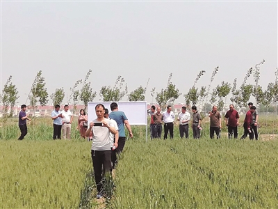 ��ֵ��ø�������r���a����