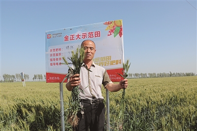 �������_�u���׸߮a��