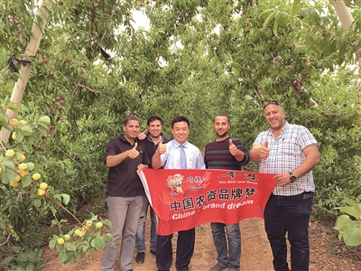 �ɿ����ء�һ��һ·�����M�s��