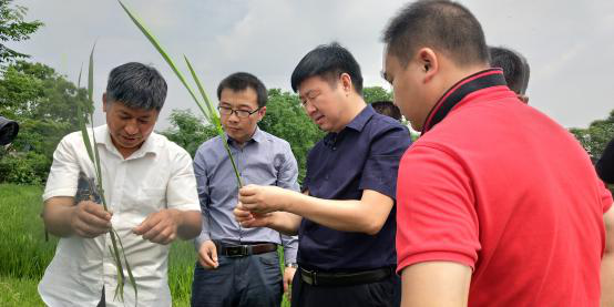 Ҋ�C�c�H�v��������ҹ��ȷʘI(y��)���ϵ����ؽ��ٷ��ؿ���