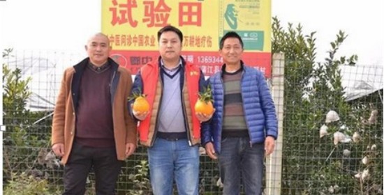 �������B(t��i)������t(y��)�r(n��ng)�I(y��)  �ɹ��S�Tδ������963.jpg