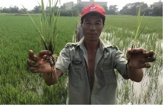 �������B(t��i)������t(y��)�r(n��ng)�I(y��)  �ɹ��S�Tδ������816.jpg