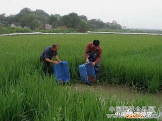 �����S���N�̓�ӆ���r���aƷ��