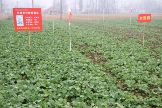 2018�A���^Ħ���չ�֮��  2019һ�Џ�&ldquo;��&rdquo;�_ʼ��508.png