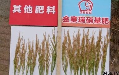 �����󣺹�˾�c��˹���(zh��n)�Ժ�����������(w��n)���LЧ����������ʽ���У�