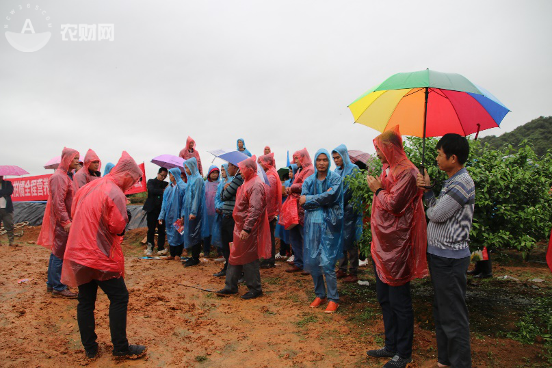 ʲô�ǚ��������r��ð��ҲҪȥ�W��