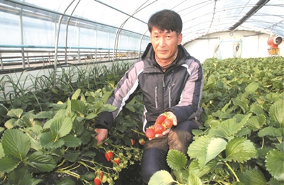 �ɿ����L(f��ng)���n��