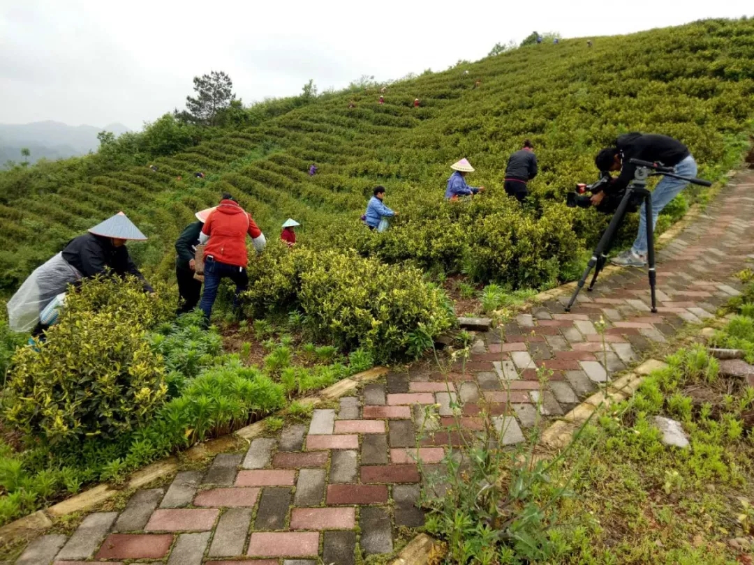 �l�������~ɫ�ס������硪�����ϻ��������n�촨�������ײ衱