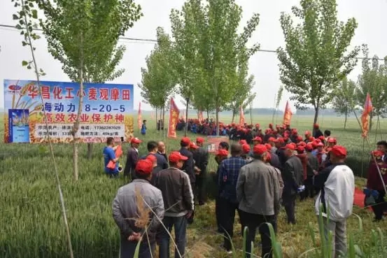 �����u���ڱ� ��Ч���QЧ�����A�������و������^Ħ�����M�ڿh