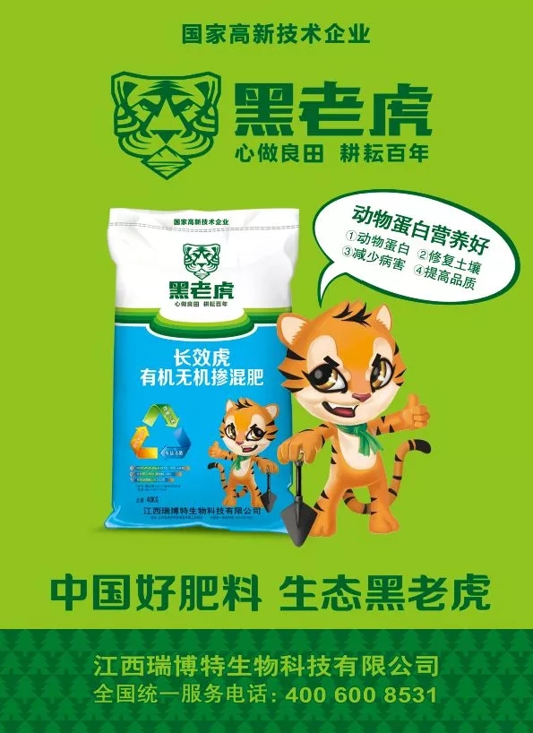 ��һ�NƷ�ƽС����ϻ��� �������M�����ϻ������ͥ