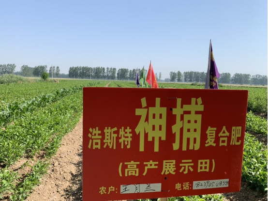 �������B���l������ȫ  ���ϻ��LҊ�C&rdquo;�S��&rdquo;�r��863.png