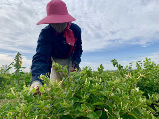 �������B���l������ȫ  ���ϻ��LҊ�C&rdquo;�S��&rdquo;�r��274.png