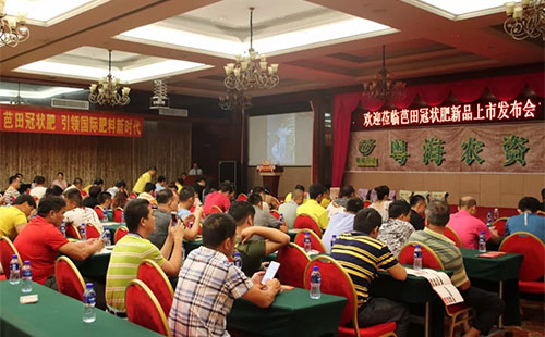 ����ڠ����ʲô��Ч����ô�ӣ�