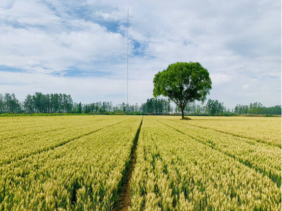 �������B���l������ȫ  ���ϻ��LҊ�C&rdquo;�S��&rdquo;�r��37.png