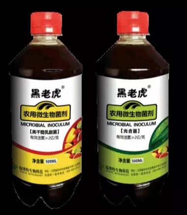 �����ϻ������ܺȵ�΢�������