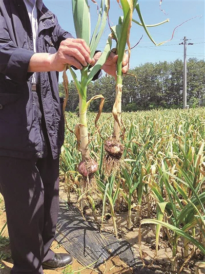 �w��ˮ�ܷ����n������