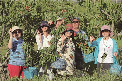 �����r(n��ng)���҂����҈@�ṩ�ˑ�(zh��n)��֧�Ρ�