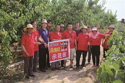 �Y����DAP+�������S�ծ���