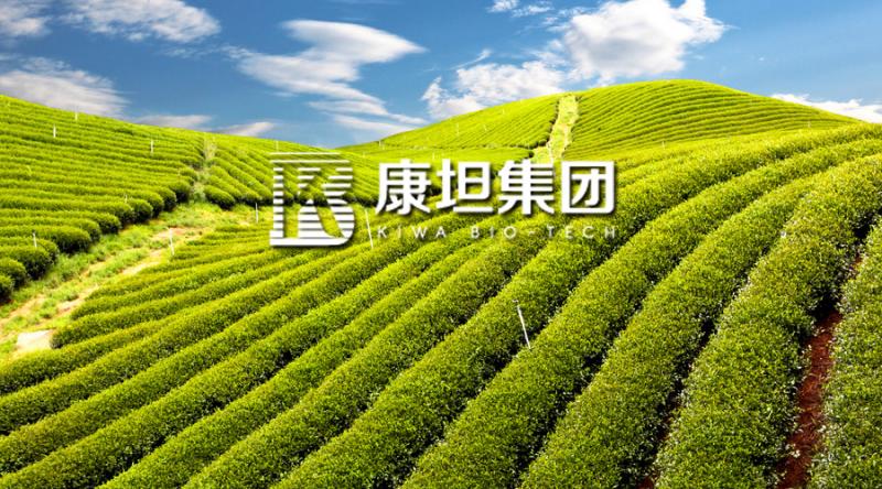 ��̹�������ͷ��ϼӹ����gԇ�ɹ� ���F����������ͻ��