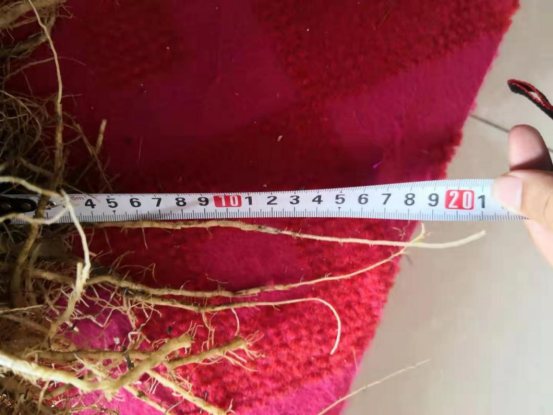 �îaƷ���÷��� �A�úÿڱ����A�������و������^Ħ�����M����725.png