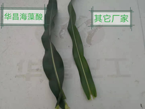 �îaƷ���÷��� �A�úÿڱ����A�������و������^Ħ�����M����723.png