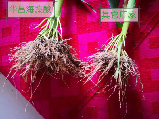 �îaƷ���÷��� �A�úÿڱ����A�������و������^Ħ�����M����727.png