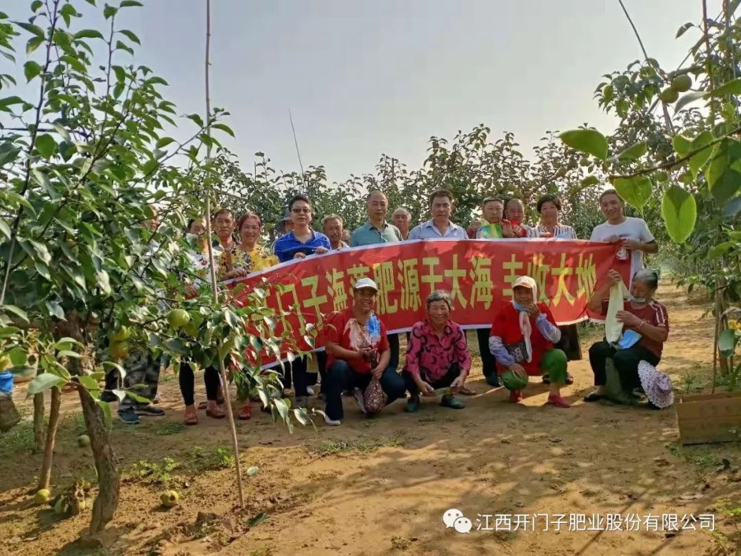 �_�T���R��������f悺����ʾ������