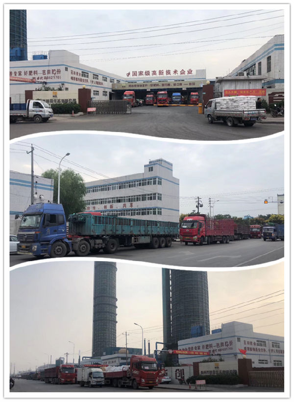 �����¸ҳ��l(f��) ȫ��͹��ͮa