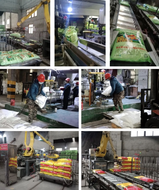 ����&ldquo;��&rdquo;��   ���MӢ�۵���I--�������B664.png