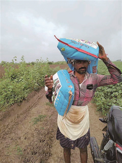 �ɿ����������ȁ��r(n��ng)�I(y��)�l(f��)չ