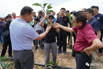 �ļ����B�ن������Є�