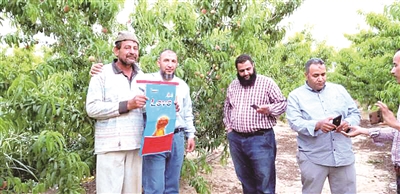 ������ɫ�е��Ї�(gu��)��