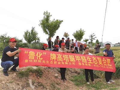 ������ꖹ����XɽС���S��