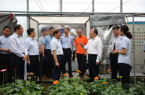 ɽ�|��ʡ�L�{�н�����