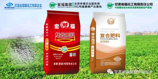 ���C�Y����˾�@������ȫ��ʯ�ͺͻ��W���I���M���w�s�u�Q̖