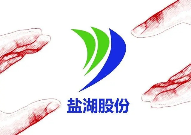 �}���ɷݹ�˾���2022���Ї�����I500�������