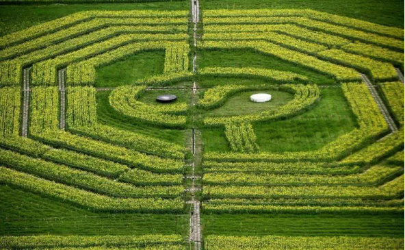 ���㵽Ҽ  �����B�r�I�����t�r�I(1)2446.png