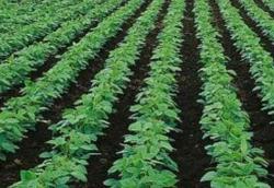 ���ݿh���д󿂽����m���ɣ���һ���ϸ���r�I(y��)��